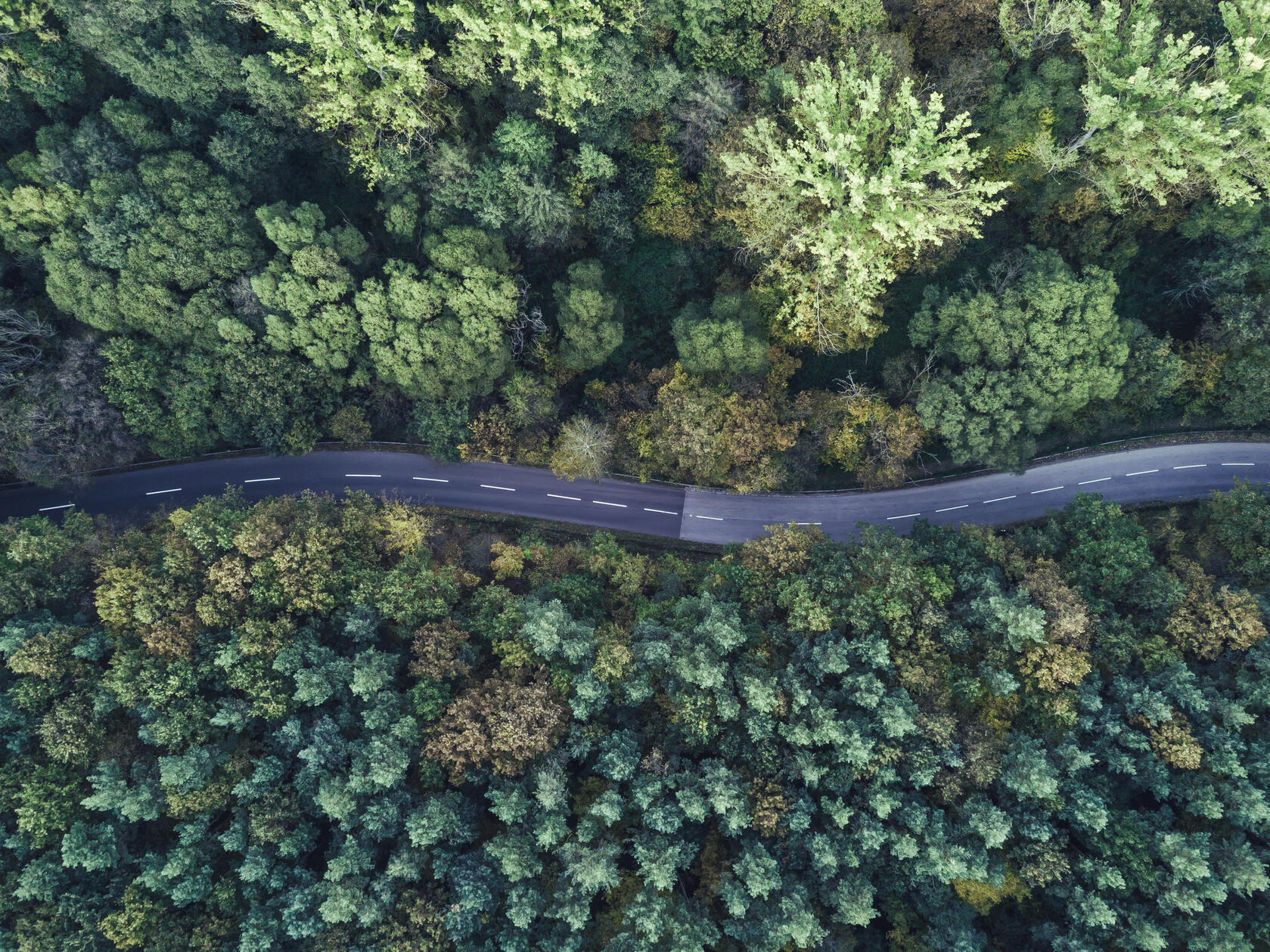 Auf dem Bild ist eine Autostrasse von oben zu sehen, die durch einen Wald geht. Der grüne Wald ist dicht links und rechts der Strasse, der Blick auf den Asphalt ist frei.