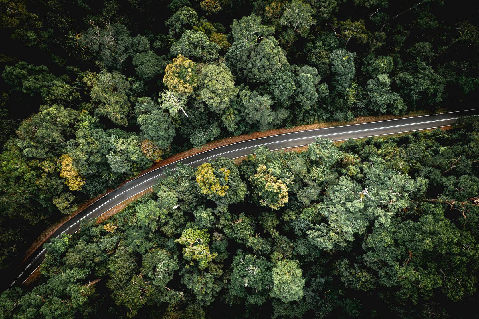 © Pexels / Pok Rie Eine faszinierende Luftaufnahme einer kurvenreichen Strasse, die sich durch einen üppig grünen Wald schlängelt und die Schönheit der Natur zur Schau stellt.