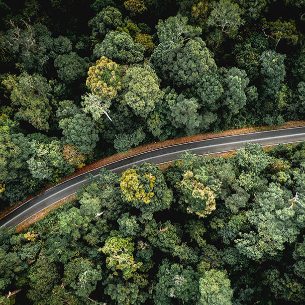Auf dem Bild ist eine Autostrasse von oben zu sehen, die durch einen Wald geht. Der grüne Wald ist dicht links und rechts der Strasse, der Blick auf den Asphalt ist frei.